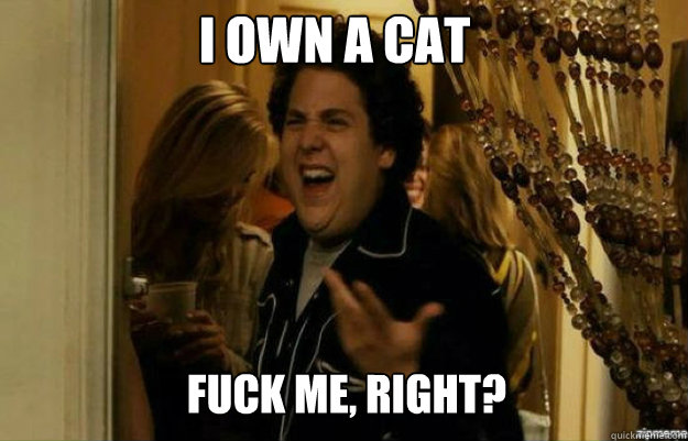 I own a cat FUCK ME, RIGHT?  fuck me right