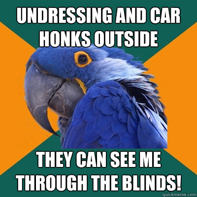 undressing and car honks outside they can see me through the blinds!  Paranoid Parrot