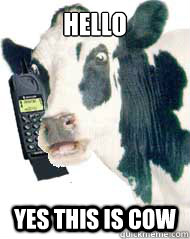 hello yes this is cow - hello yes this is cow  Misc