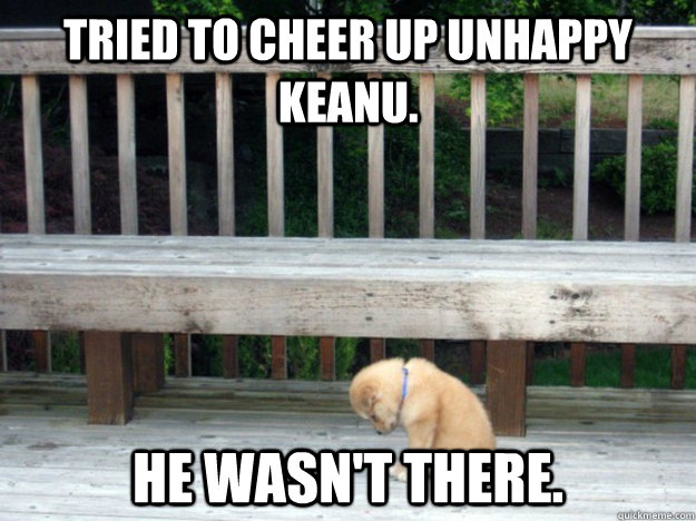 Tried to cheer up unhappy Keanu. He wasn't there. - Tried to cheer up unhappy Keanu. He wasn't there.  Unlucky puppy