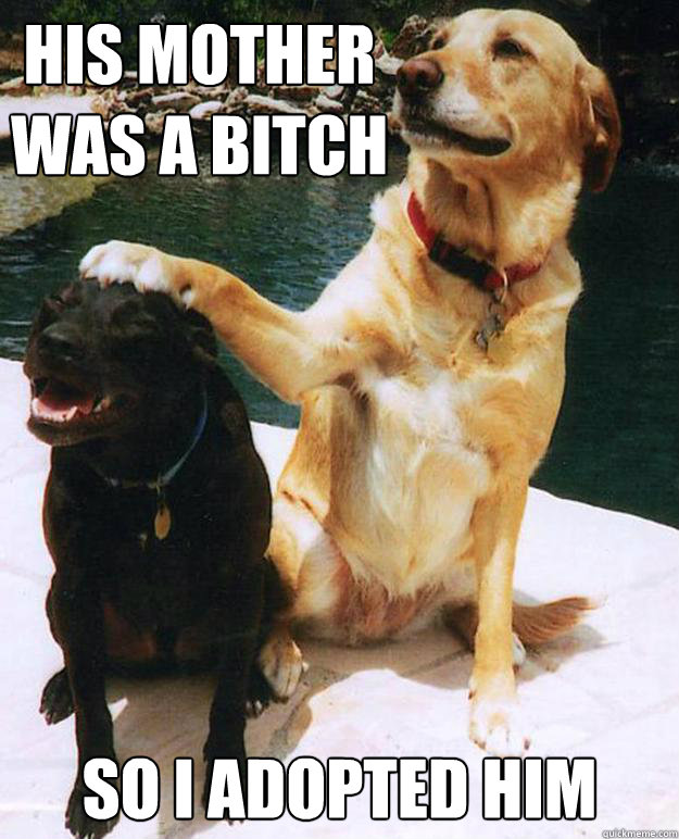 His Mother was a Bitch So I Adopted him - His Mother was a Bitch So I Adopted him  Caring Dog