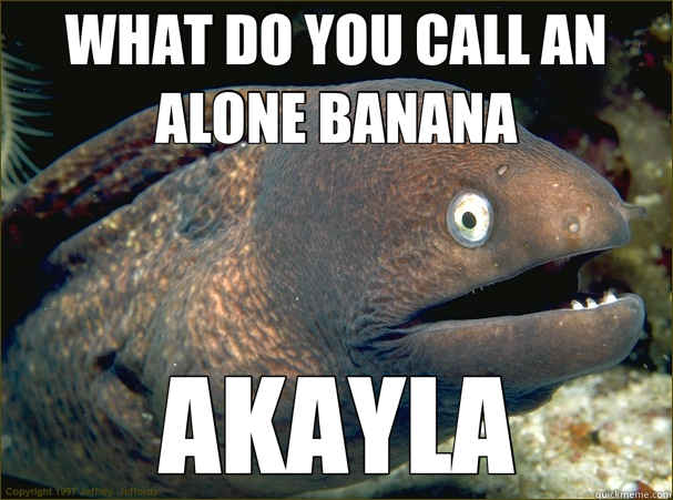 WHAT DO YOU CALL AN ALONE BANANA AKAYLA  Bad Joke Eel