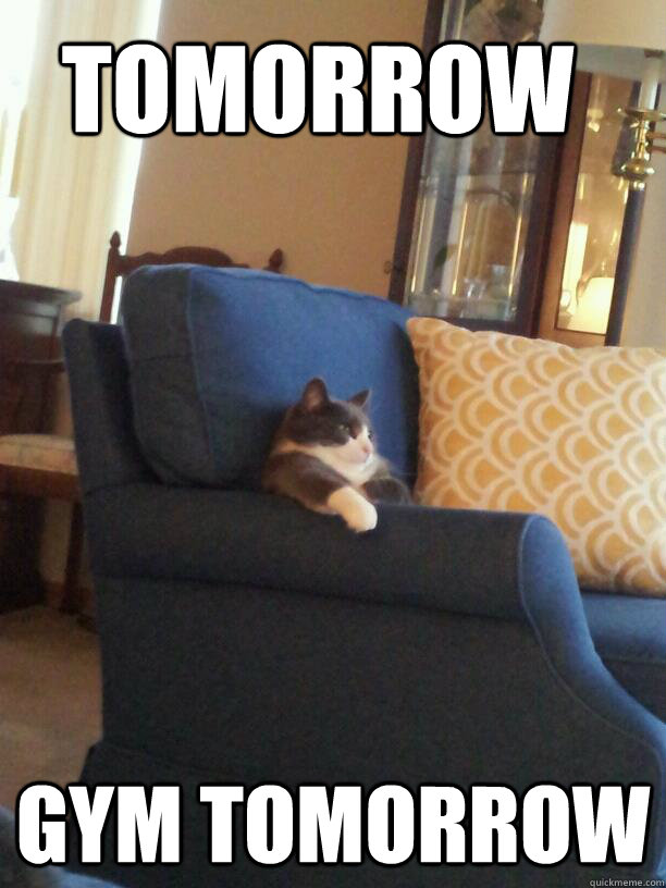 Tomorrow Gym tomorrow  Apathetic TV Cat