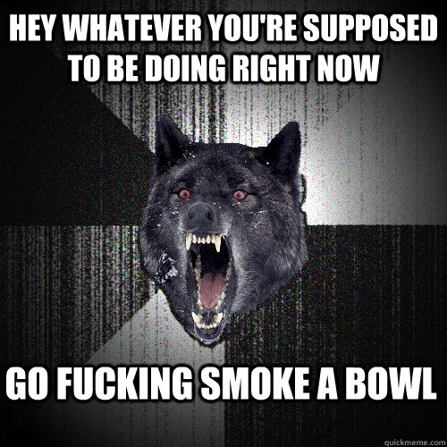 Hey whatever you're supposed to be doing right now GO FUCKING SMOKE A BOWL  Insanity Wolf