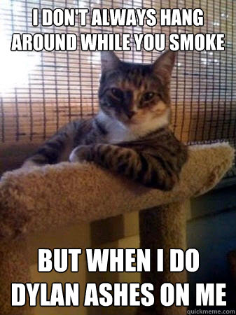 I don't always hang around while you smoke but when i do dylan ashes on me  The Most Interesting Cat in the World