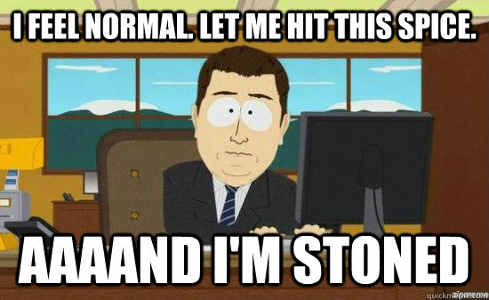I feel normal. Let me hit this spice. AAAAND I'M STONED  aaaand its gone