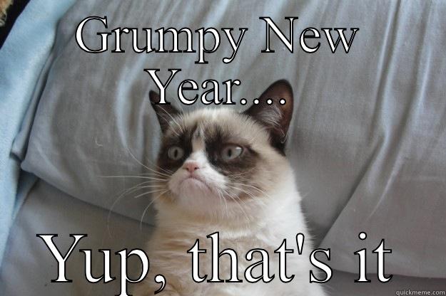 GRUMPY NEW YEAR.... YUP, THAT'S IT Grumpy Cat