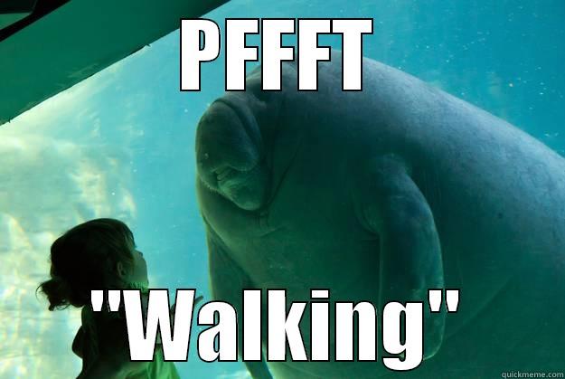 PFFFT 