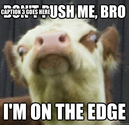 DON'T PUSH ME, BRO I'M ON THE EDGE Caption 3 goes here - DON'T PUSH ME, BRO I'M ON THE EDGE Caption 3 goes here  Ermahgerd Cow