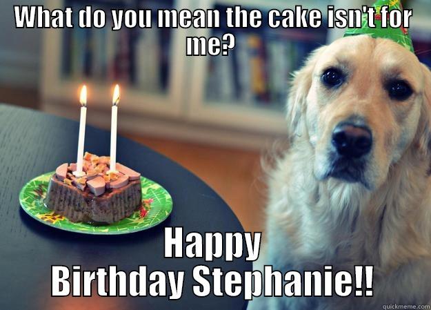 What do you mean the cake isn't for me?  - WHAT DO YOU MEAN THE CAKE ISN'T FOR ME?  HAPPY BIRTHDAY STEPHANIE!! Sad Birthday Dog
