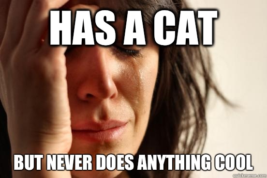Has a cat But never does anything cool   First World Problems
