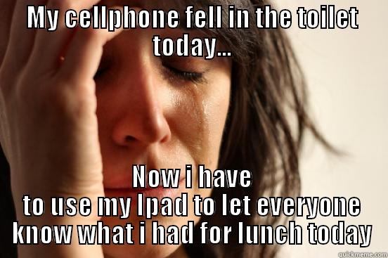MY CELLPHONE FELL IN THE TOILET TODAY... NOW I HAVE TO USE MY IPAD TO LET EVERYONE KNOW WHAT I HAD FOR LUNCH TODAY First World Problems