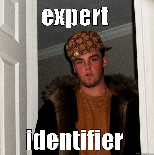 EXPERT IDENTIFIER Scumbag Steve