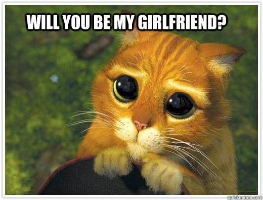 Will you be my girlfriend? - Will you be my girlfriend?  will you be my girlfriend