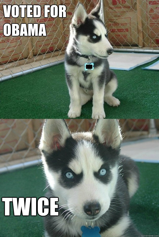 Voted for obama twice  Insanity puppy