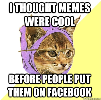 I thought memes were cool before people put them on facebook  Hipster Kitty