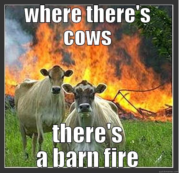 WHERE THERE'S COWS THERE'S A BARN FIRE Evil cows