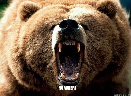  NO WHERE  Screaming Bear