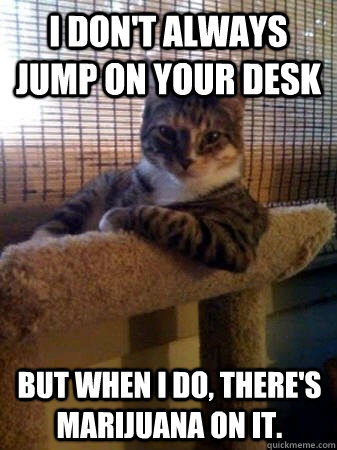 I Don't always jump on your desk but when I do, There's marijuana on it.  The Most Interesting Cat in the World