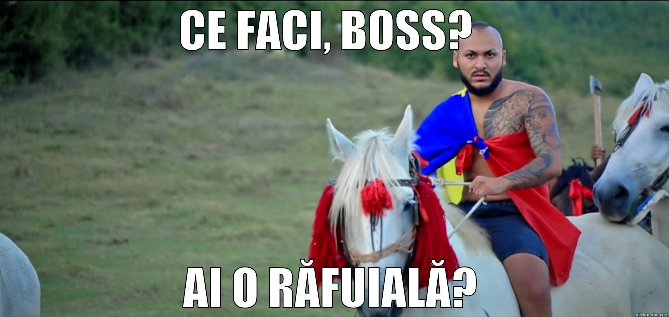 CE FACI, BOSS?  AI O RĂFUIALĂ? Misc