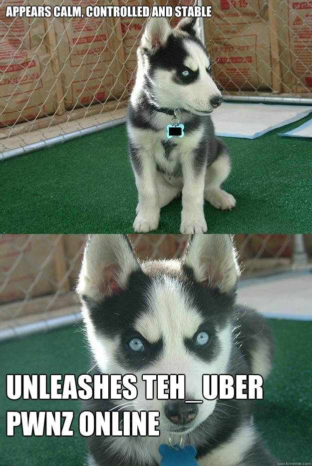 Appears calm, controlled and stable unleashes teh_uber pwnz online  Insanity puppy