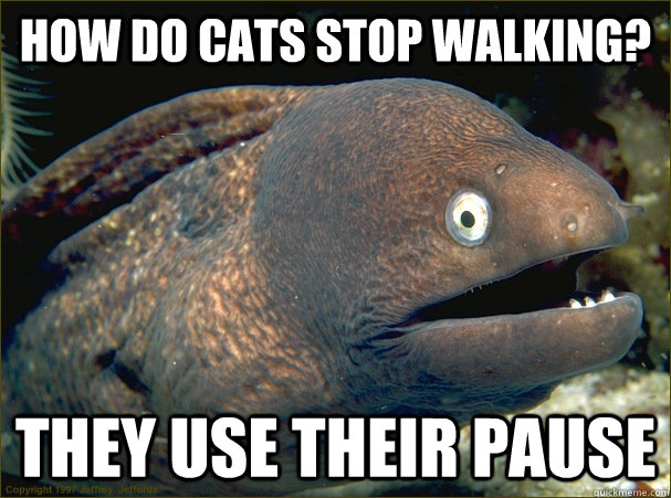 how do cats stop walking? they use their pause - how do cats stop walking? they use their pause  Bad Joke Eel
