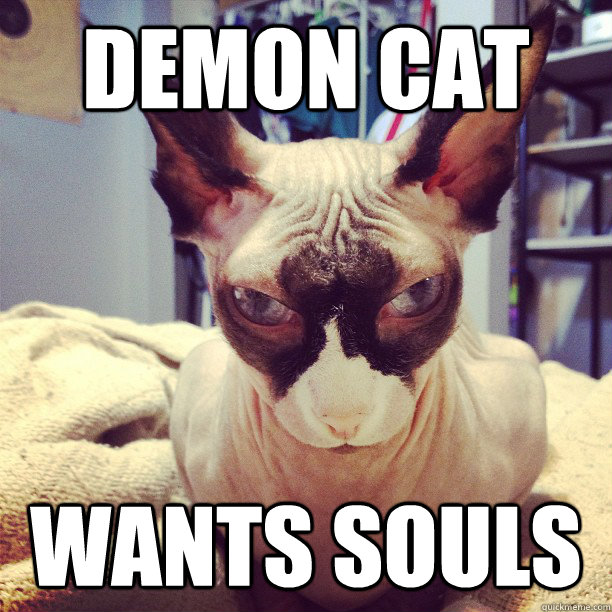 Demon Cat Wants Souls  