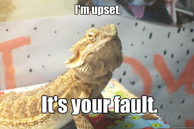 I'm upset. It's your fault. - I'm upset. It's your fault.  Bearded Dragon Blames You