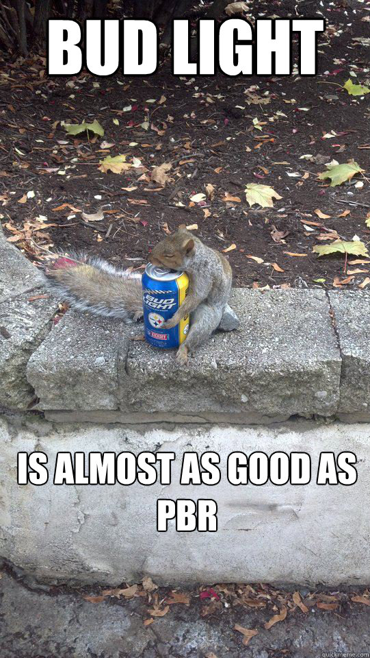Bud Light is almost as good as PBR  Drunk Squirrel