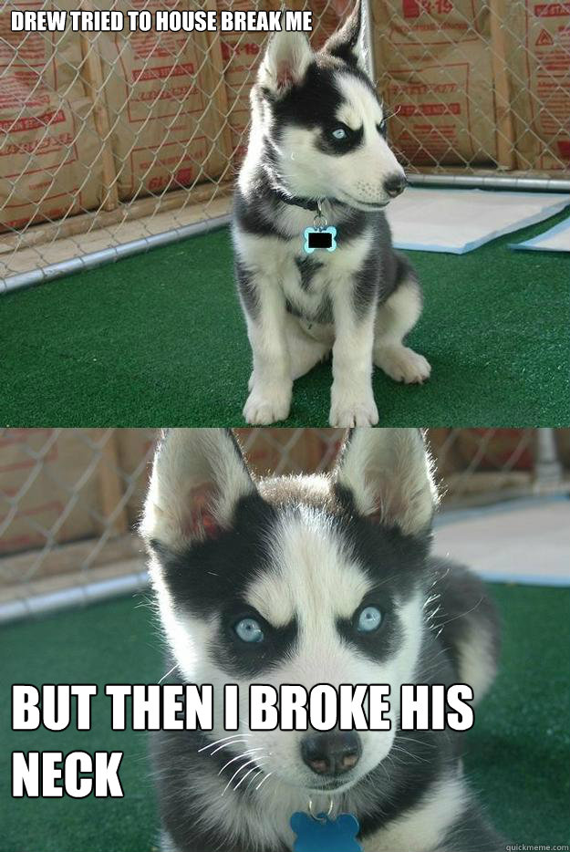 Drew tried to house break me But then I broke his neck  Insanity puppy