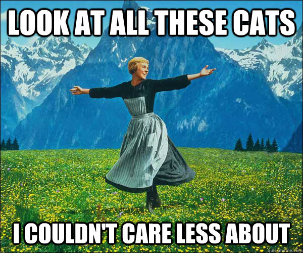 look at all these Cats I couldn't care less about - look at all these Cats I couldn't care less about  Sound of Music