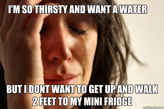 I'm so thirsty and want a water but i dont want to get up and walk 2 feet to my mini fridge   First World Problems