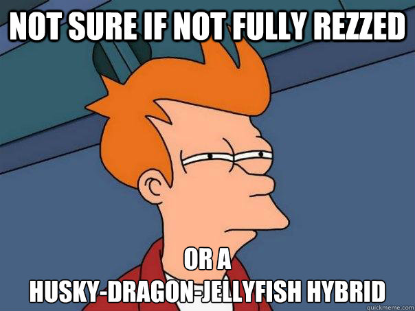 Not sure if not fully rezzed Or a
husky-dragon-jellyfish hybrid - Not sure if not fully rezzed Or a
husky-dragon-jellyfish hybrid  Misc