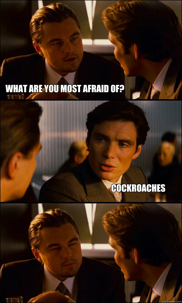 What are you most afraid of? Cockroaches  Inception