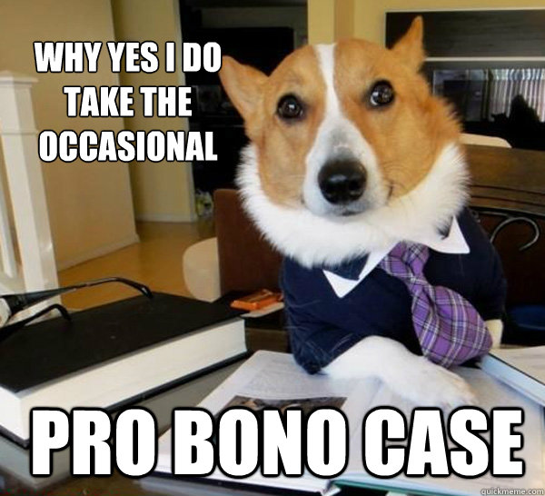 why yes i do take the occasional pro bono case  Lawyer Dog