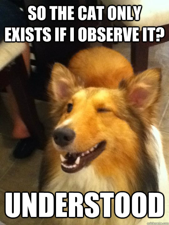 so the cat only exists if i observe it? understood  implying dog