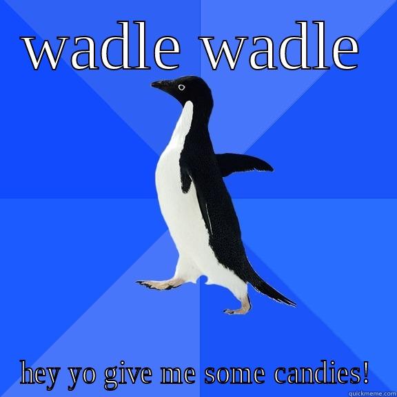 WADLE WADLE HEY YO GIVE ME SOME CANDIES! Socially Awkward Penguin