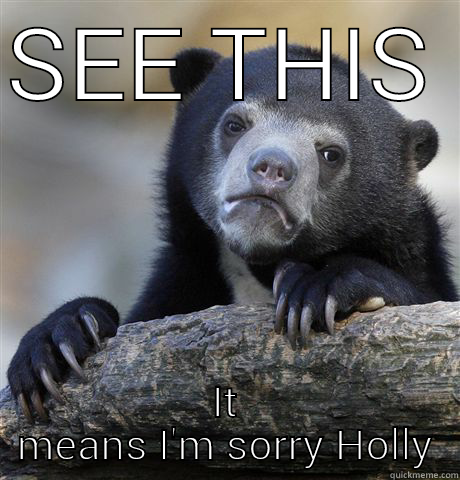 SEE THIS FACE IT MEANS I'M SORRY HOLLY Confession Bear