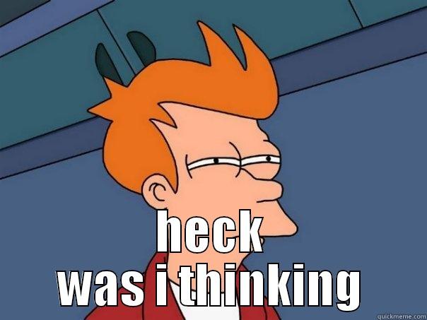 HECK WAS I THINKING Futurama Fry