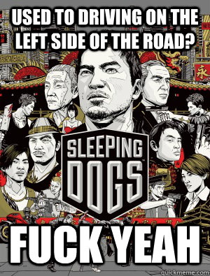 used to driving on the left side of the road? FUCK YEAH  sleeping dogs