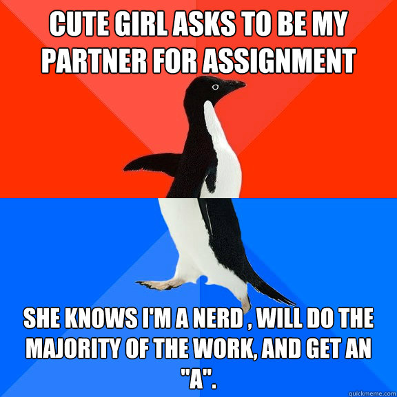 Cute girl asks to be my partner for assignment she knows I'm a nerd , will do the majority of the work, and get an 