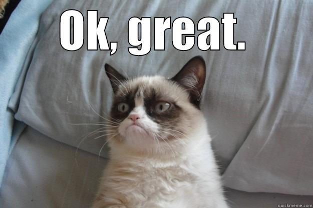 Being an adult in the office - OK, GREAT.  Grumpy Cat