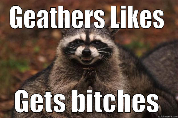 GEATHERS LIKES GETS BITCHES Evil Plotting Raccoon