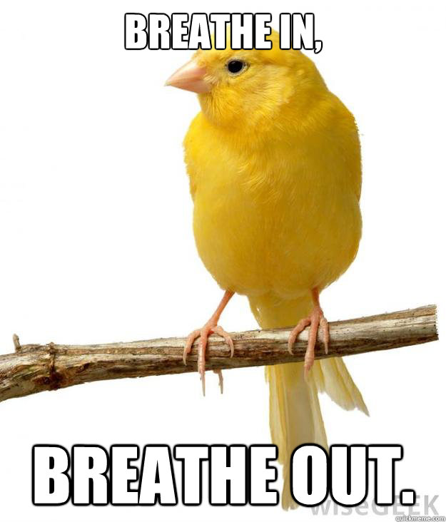 Breathe in, breathe out. - Breathe in, breathe out.  Misc