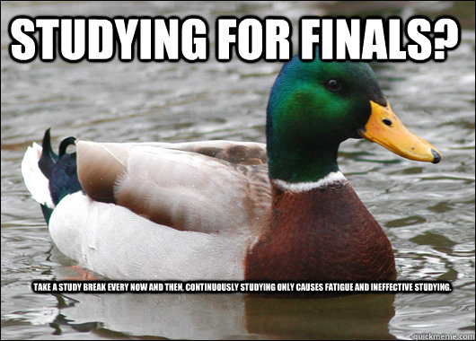 Studying for finals? Take a study break every now and then, continuously studying only causes fatigue and ineffective studying.  Actual Advice Mallard
