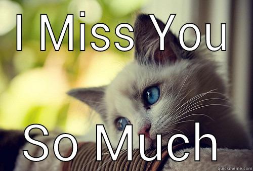 Pity Kitty - I MISS YOU SO MUCH First World Problems Cat