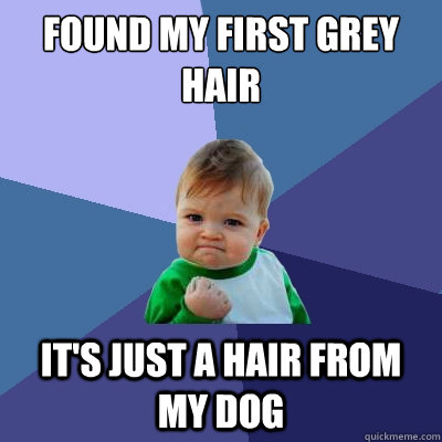 found my first grey hair it's just a hair from my dog - found my first grey hair it's just a hair from my dog  Success Kid