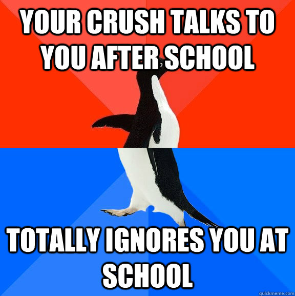 your crush talks to you after school totally ignores you at school  Socially Awesome Awkward Penguin