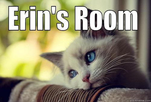 ERIN'S ROOM  First World Problems Cat