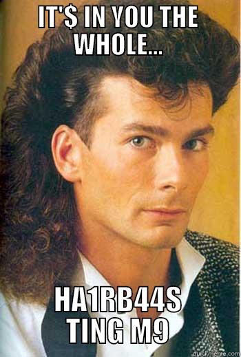 IT'$ IN YOU THE WHOLE... HA1RB44S TING M9 Misc